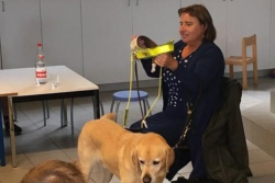 Inzamelactie voor blindengeleidehonden