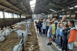 Jeugd bewustmaken van belang landbouw